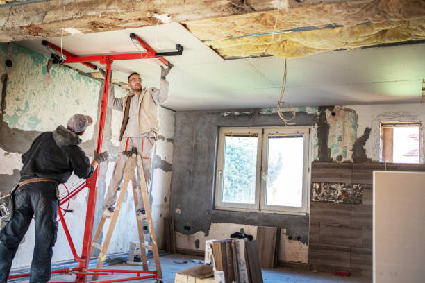Best Residential Insulation in Heidelberg, TX