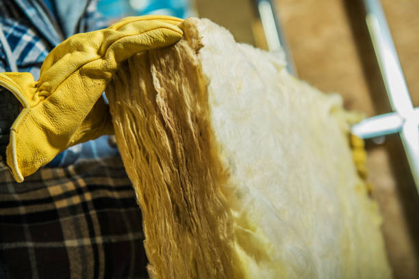 Best Insulation for Specific Applications in Heidelberg, TX